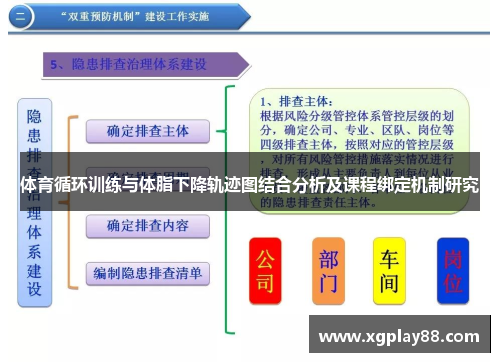 体育循环训练与体脂下降轨迹图结合分析及课程绑定机制研究
